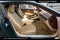 2024 Aston Martin DB12 Base