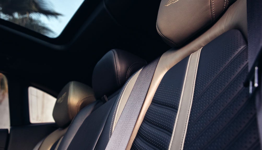 Aston Martin Orlando Leather Seats