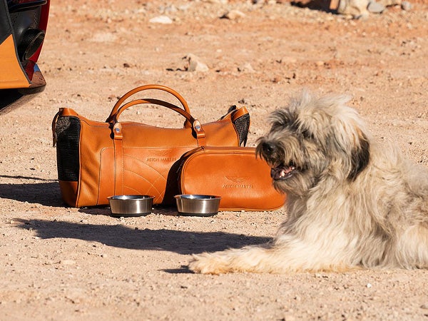 Dog Accessory Pack (Black or Tan)