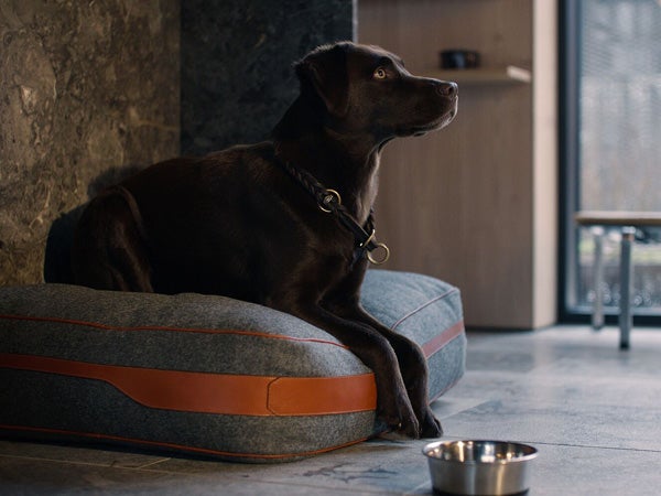 Dog Bed (Black or Tan)